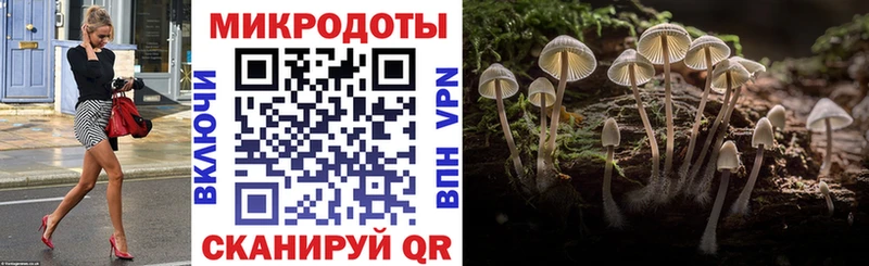 Галлюциногенные грибы Psilocybine cubensis  продажа наркотиков  Андреаполь 